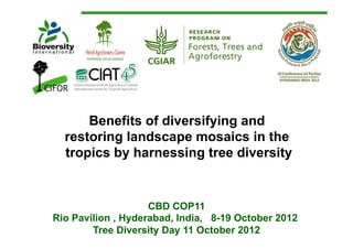 Benefits of diversifying and
  restoring landscape mosaics in the
  tropics by harnessing tree diversity


                    CBD COP11
Rio Pavilion , Hyderabad, India, 8-19 October 2012
        Tree Diversity Day 11 October 2012
 