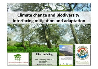 Climate	
  change	
  and	
  Biodiversity:	
  
interfacing	
  mi6ga6on	
  and	
  adapta6on	
  




                 Eike	
  Luedeling	
  
                              	
  
              Tree	
  Diversity	
  Day	
  2012	
  
                      CBD	
  COP-­‐11	
  
                 Hyderabad,	
  India	
  
 