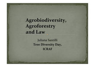   	
   	
  Agrobiodiversity,	
   	
   	
   	
  
	
   	
   	
  Agroforestry	
  	
  
	
   	
   	
  and	
  Law	
  
                Juliana	
  Santilli	
  
                        	
  
             Tree	
  Diversity	
  Day,  	
  
                      ICRAF  	
  


                                                     1
 
