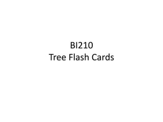BI210 Tree Flash Cards  