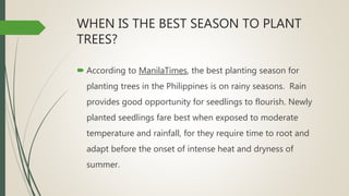 WHEN IS THE BEST SEASON TO PLANT
TREES?
 According to ManilaTimes, the best planting season for
planting trees in the Philippines is on rainy seasons. Rain
provides good opportunity for seedlings to flourish. Newly
planted seedlings fare best when exposed to moderate
temperature and rainfall, for they require time to root and
adapt before the onset of intense heat and dryness of
summer.
 