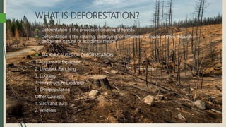 WHAT IS DEFORESTATION?
 Deforestation is the process of clearing of forests.
 Deforestation is the clearing, destroying, or otherwise removal of trees through
deliberate, natural or accidental means.
 MAJOR CAUSES OF DEFORSETATION
1. Agricultural Expansion
2. Livestock Ranching
3. Logging
4. Infrastructure Expansion
5. Overpopulation
Other Cause(s):
1. Slash and Burn
2. Wildfires
 