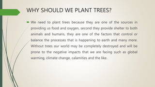 WHY SHOULD WE PLANT TREES?
 We need to plant trees because they are one of the sources in
providing us food and oxygen, second they provide shelter to both
animals and humans, they are one of the factors that control or
balance the processes that is happening to earth and many more.
Without trees our world may be completely destroyed and will be
prone to the negative impacts that we are facing such as global
warming, climate change, calamities and the like.
 