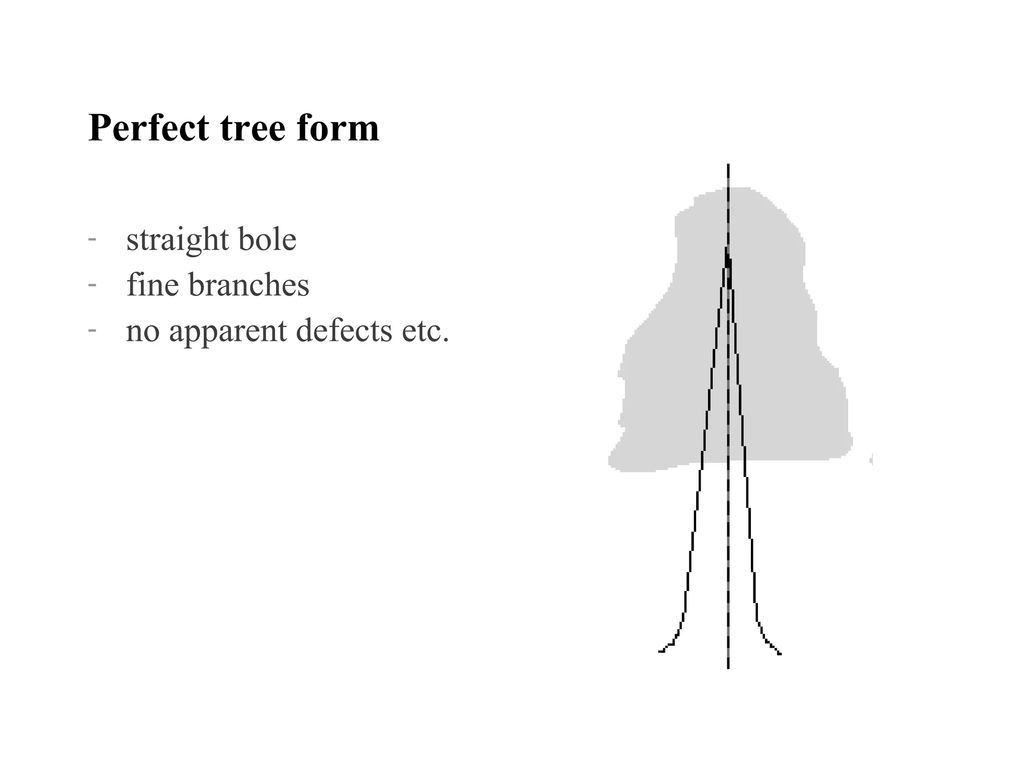 Tree forms | PPT