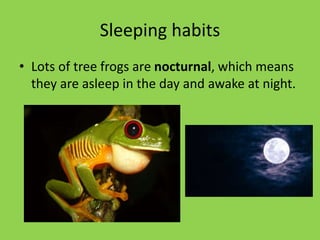 Sleeping habits
• Lots of tree frogs are nocturnal, which means
they are asleep in the day and awake at night.