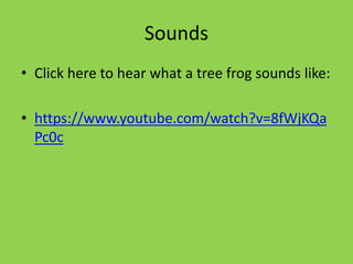 Sounds
• Click here to hear what a tree frog sounds like:
• https://www.youtube.com/watch?v=8fWjKQa
Pc0c