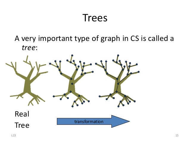 Tree, function and graph