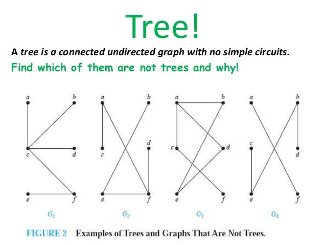 Tree, function and graph