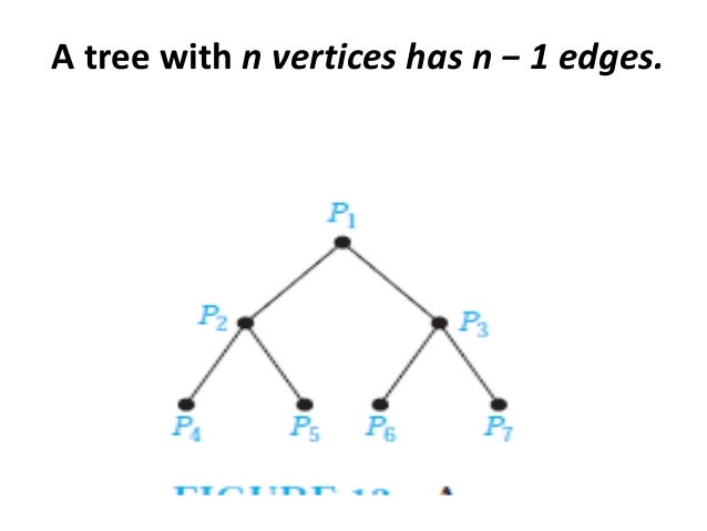 Tree, function and graph