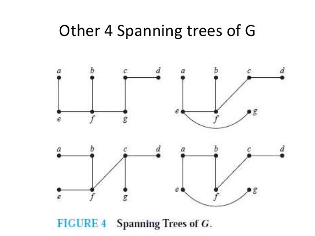 Tree, function and graph