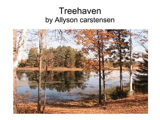 Treehaven by Allyson carstensen 