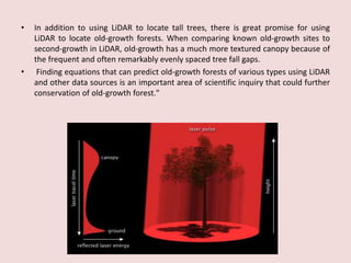 • In addition to using LiDAR to locate tall trees, there is great promise for using
LiDAR to locate old-growth forests. When comparing known old-growth sites to
second-growth in LiDAR, old-growth has a much more textured canopy because of
the frequent and often remarkably evenly spaced tree fall gaps.
• Finding equations that can predict old-growth forests of various types using LiDAR
and other data sources is an important area of scientific inquiry that could further
conservation of old-growth forest."
 