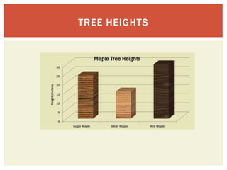 Tree Heigts Tree huggin' hippies | PPTX
