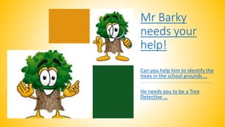 Mr Barky
needs your
help!
Can you help him to identify the
trees in the school grounds …
He needs you to be a Tree
Detective ...
 
