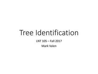 Tree Identification
LNT 105 – Fall 2017
Mark Valen
 