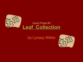 Inquiry Project #2 Leaf  Collection by Lynsey Wilkie 
