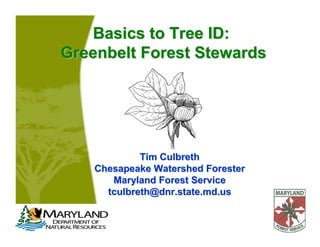 Basics to Tree ID:Basics to Tree ID:
Greenbelt Forest StewardsGreenbelt Forest Stewards
Tim CulbrethTim Culbreth
Chesapeake Watershed ForesterChesapeake Watershed Forester
Maryland Forest ServiceMaryland Forest Service
tculbreth@dnr.state.md.ustculbreth@dnr.state.md.us
 