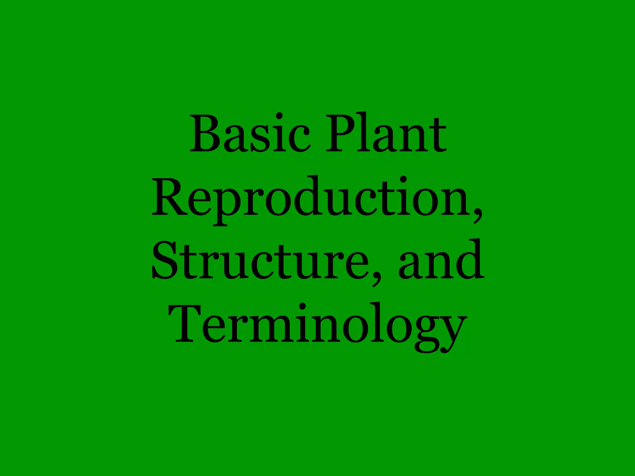 Palmately compound leaf
Ohio Buckeye
Aesculus glabra
petiole
 