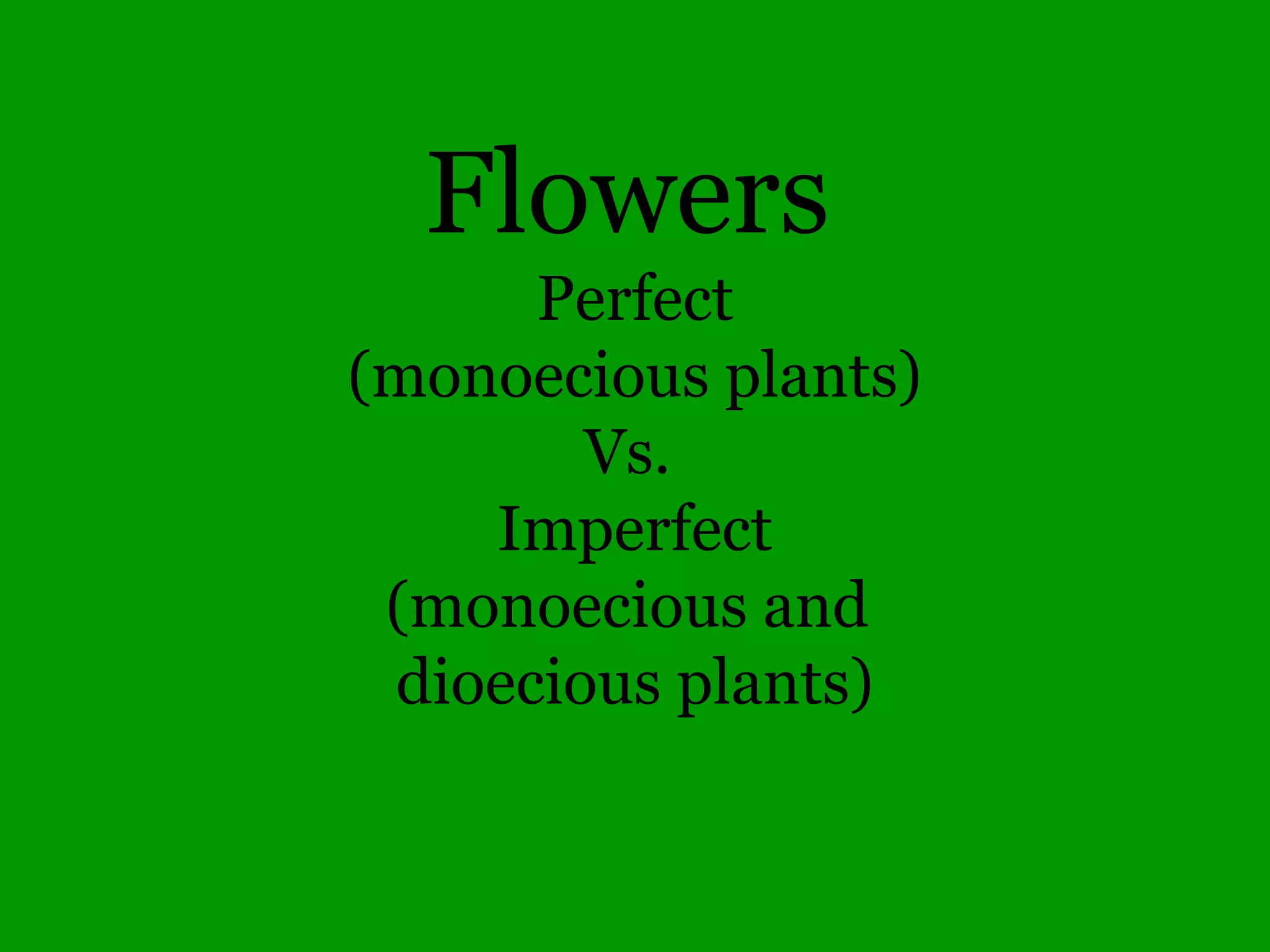 Alternate leaves
American beech
 