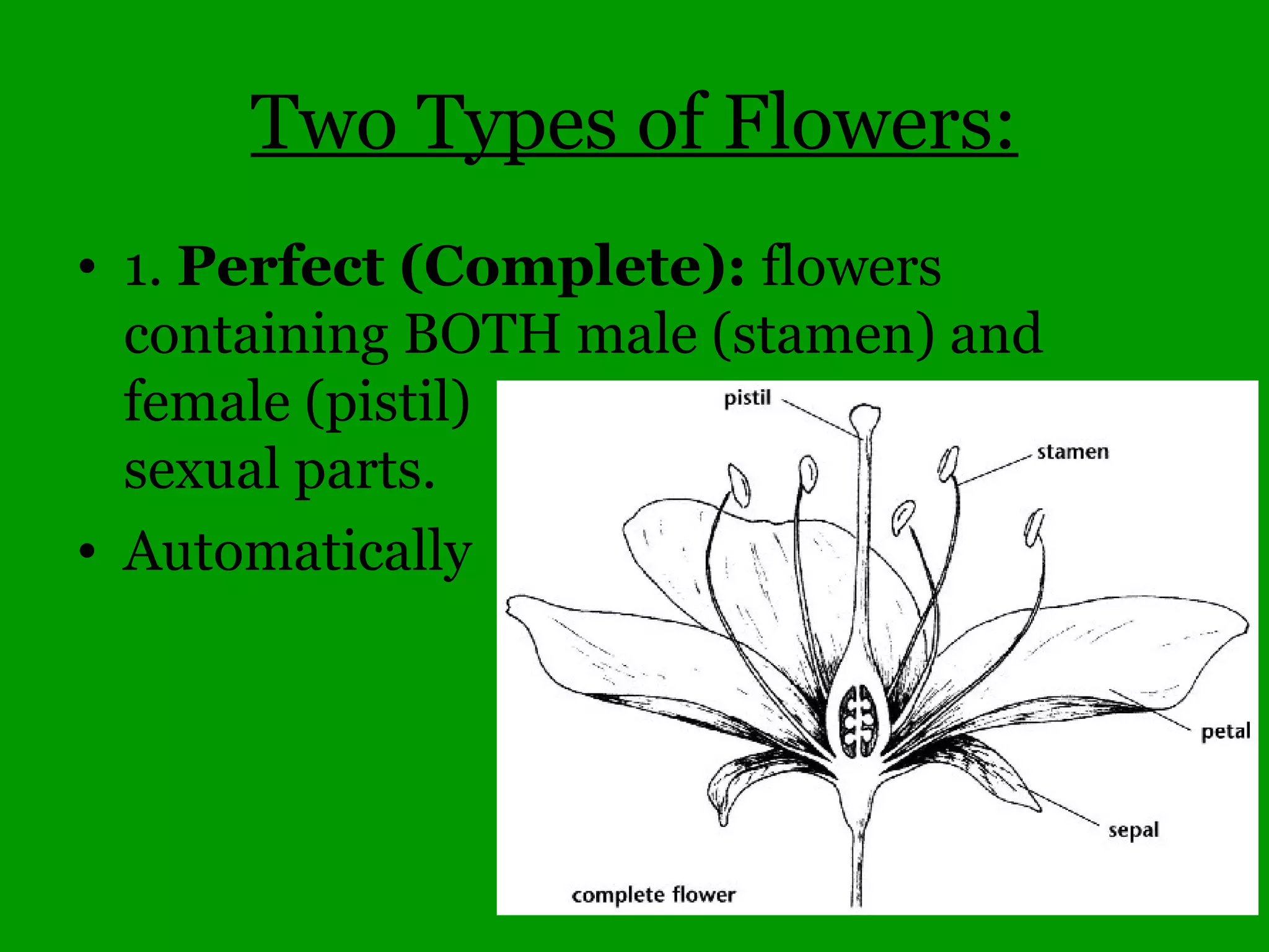 Whorled leaves
Bedstraw
Galium pilosum
Galium aparine
 