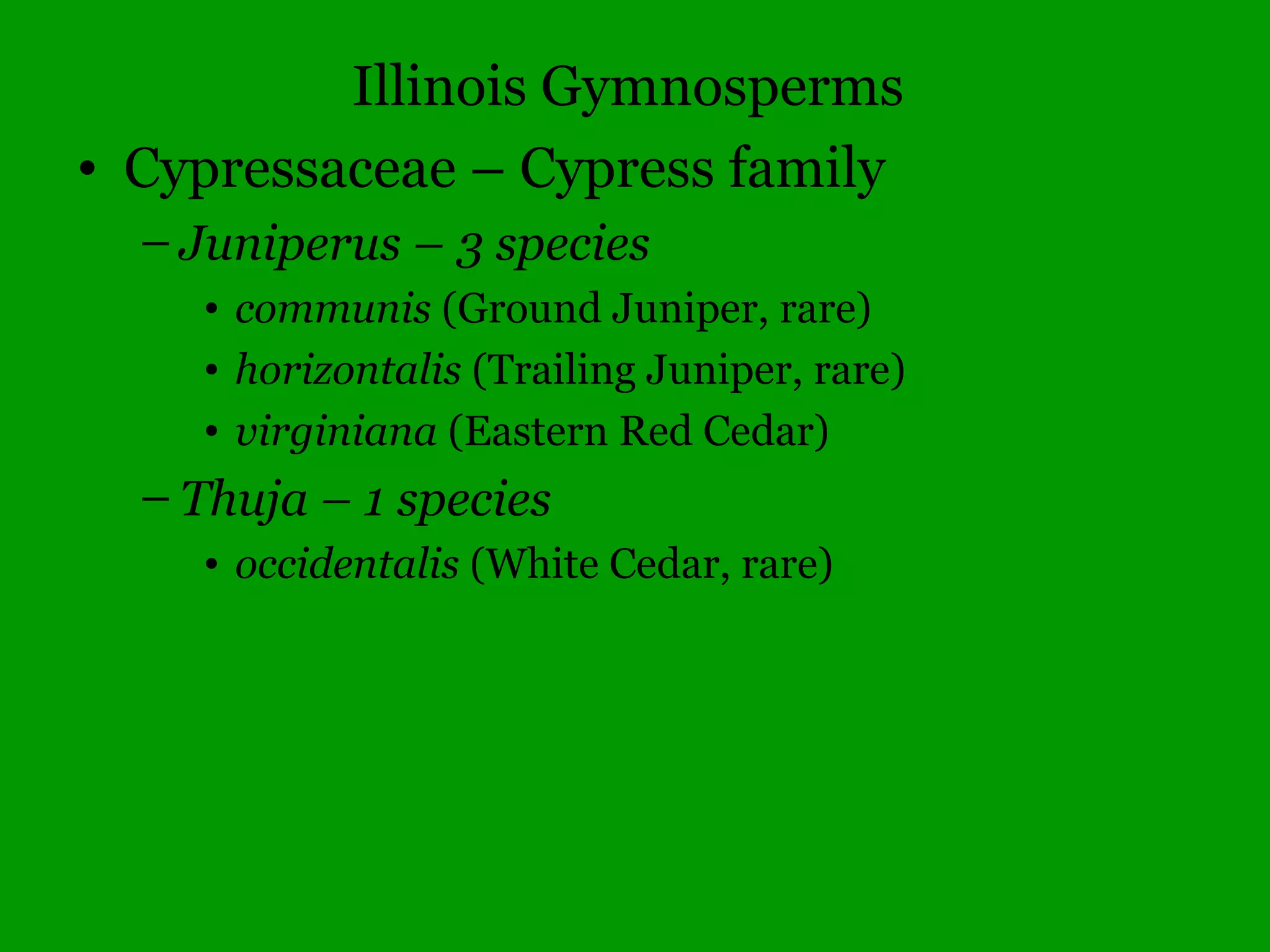 Imperfect
flowers
Staminate
Vs.
Pistillate
Typha angustifolia
staminate
pistillate
 