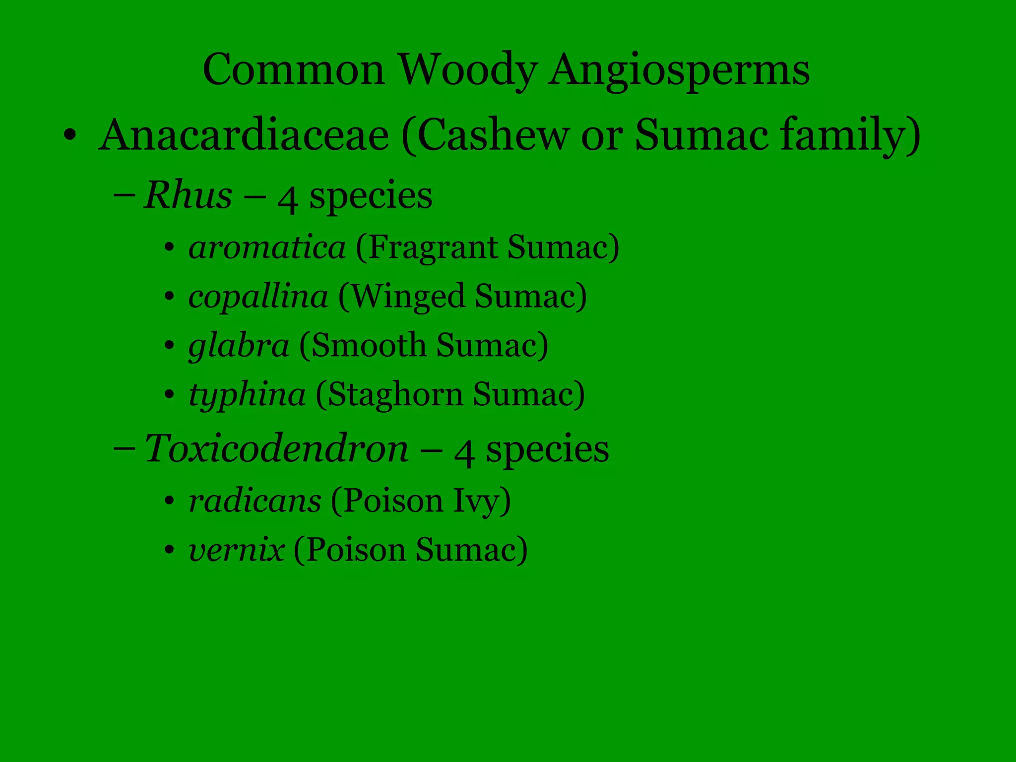 • flowering plants where the seed is encased
in a protective fruit.
• This is the dominant group of plants on
Earth today.
Angiosperms (“hidden seeds”)
 
