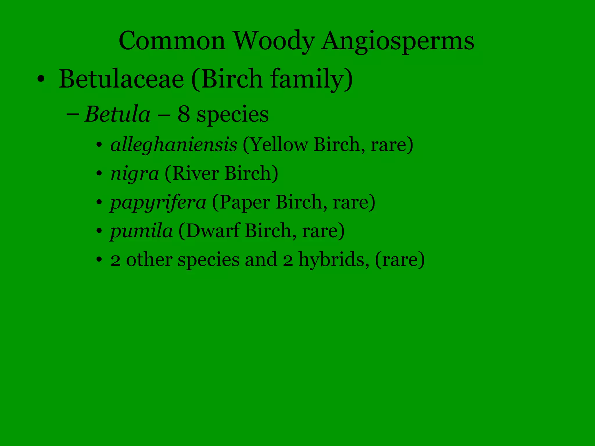 One cotyledon in seed
 
