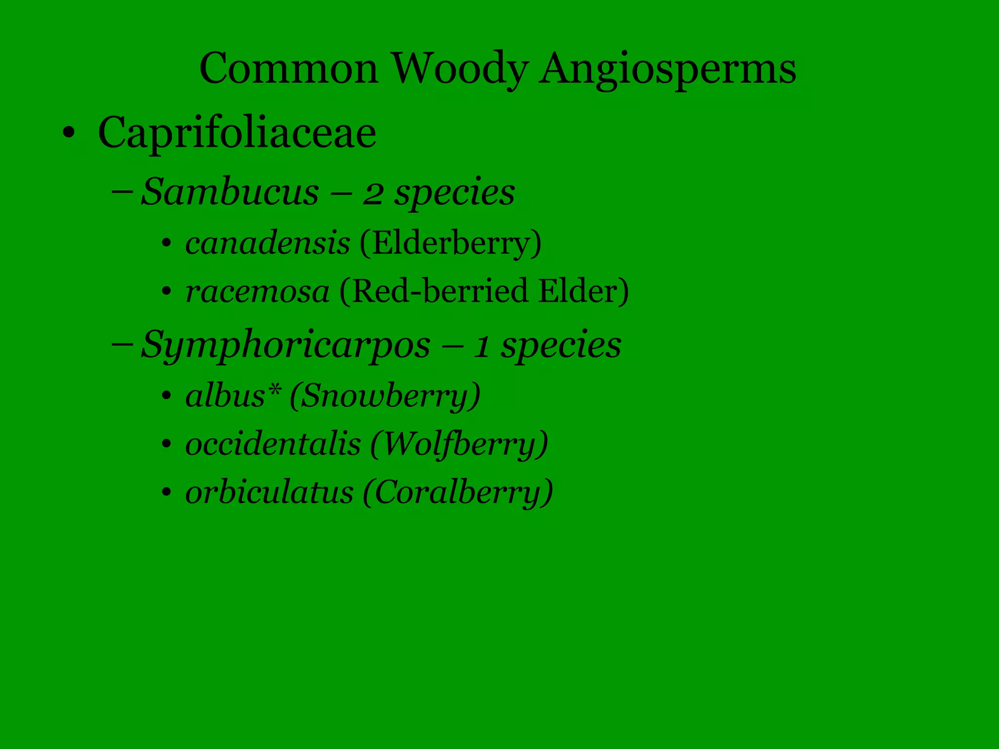 Flower parts in threes and multiples
of three, irregular (nonsymmetrical)
 