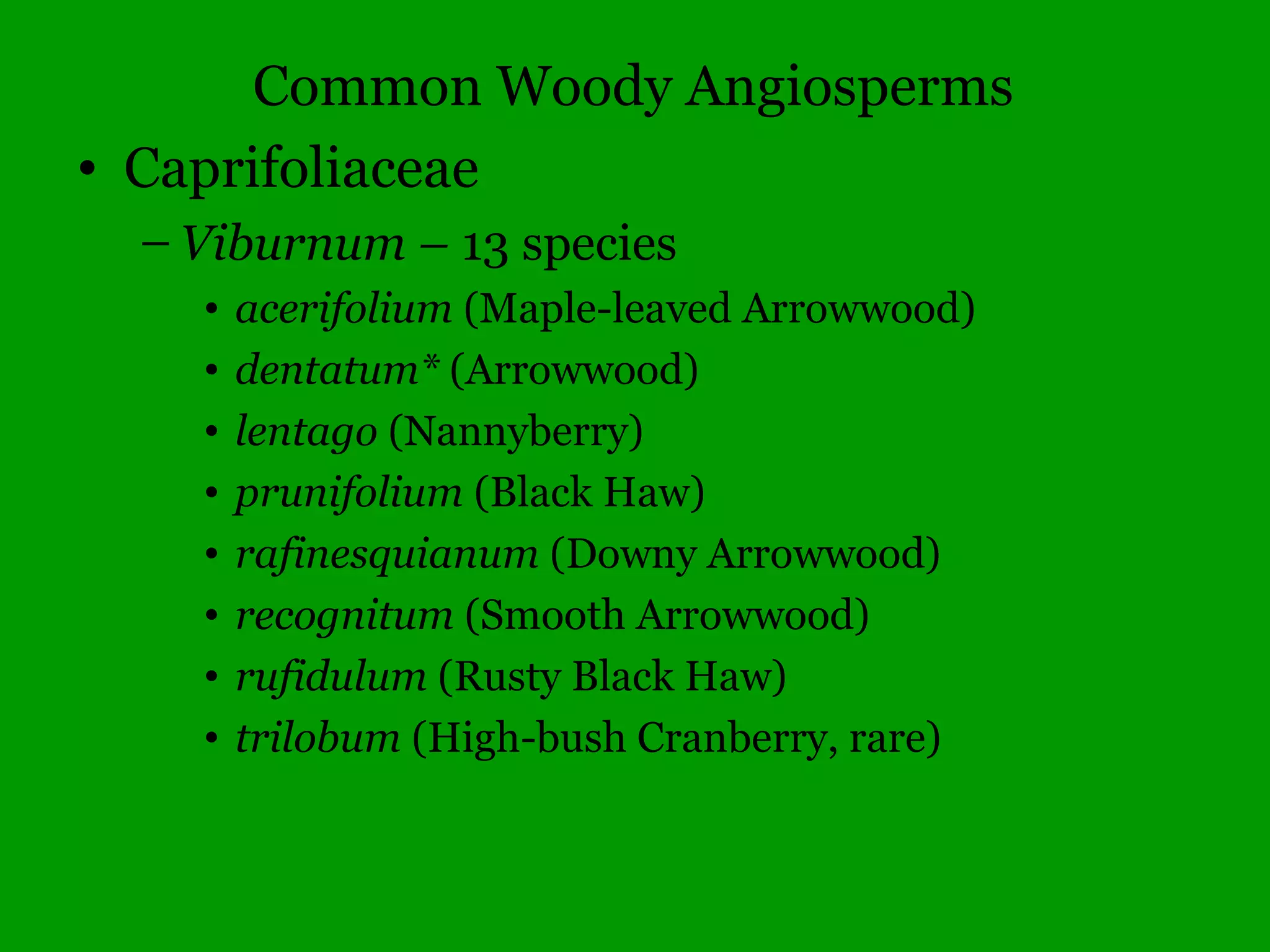 Two cotyledons in seed
 