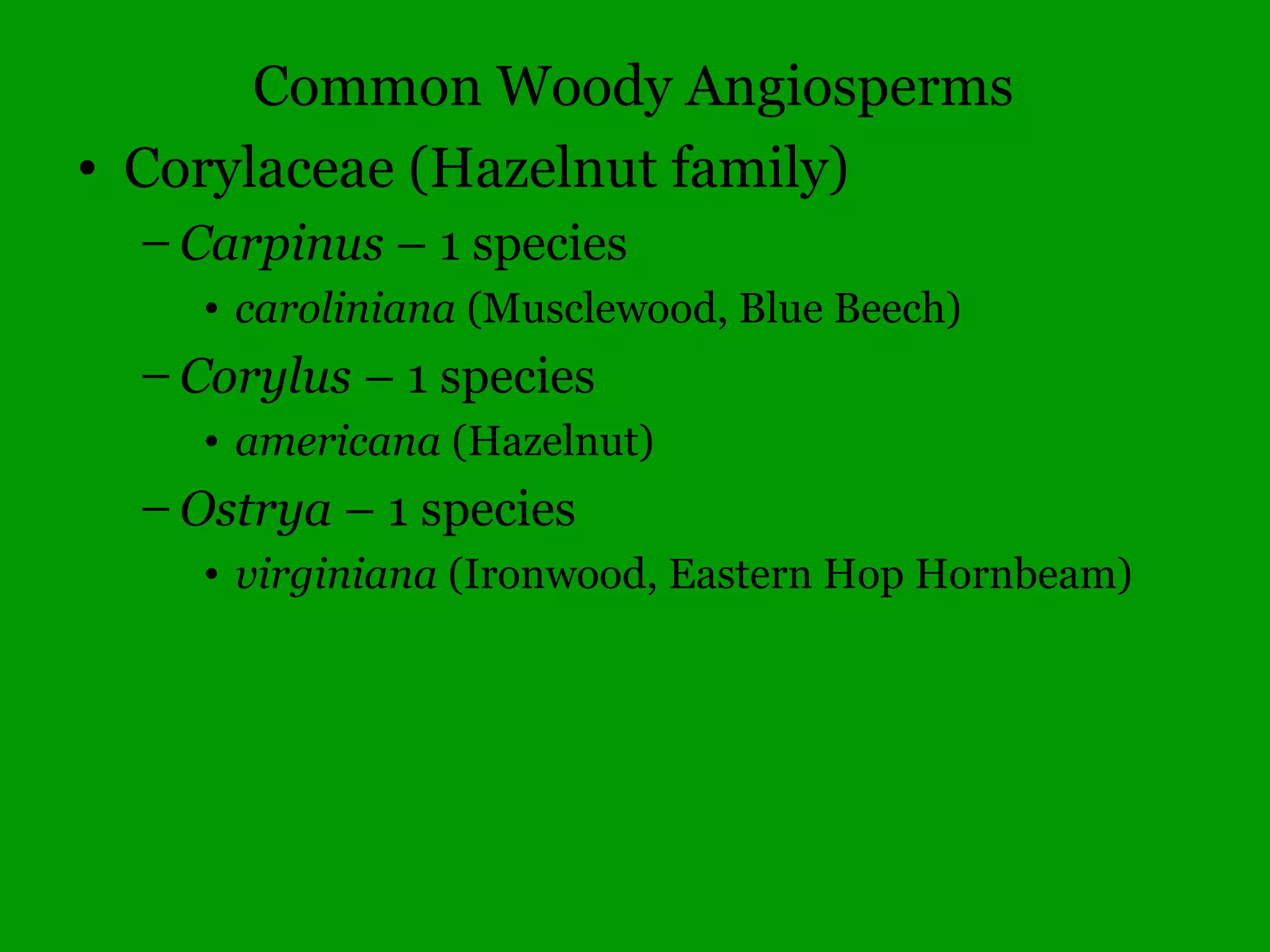 Dichotomous Keys
and
Plant Collections
 