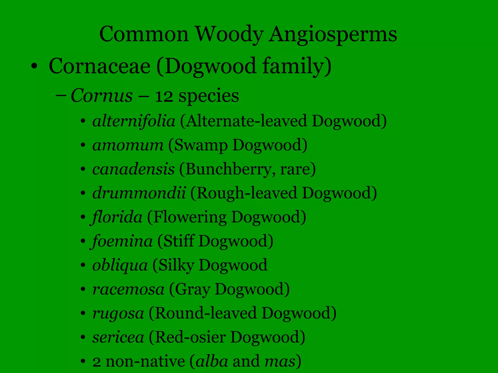 Dichotomous key demonstration
 