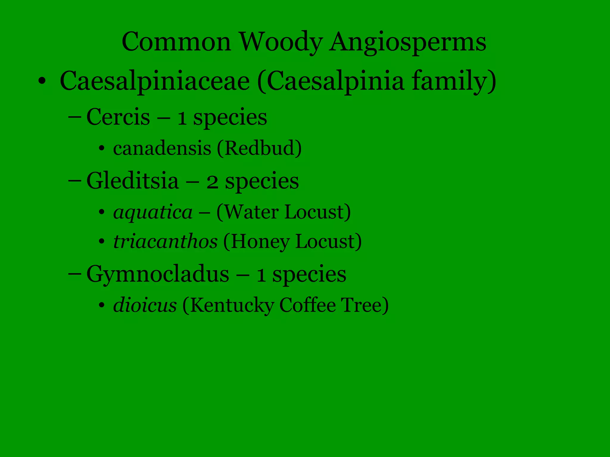 Plant Humor
How can you ID a dogwood tree?
By its bark!
 