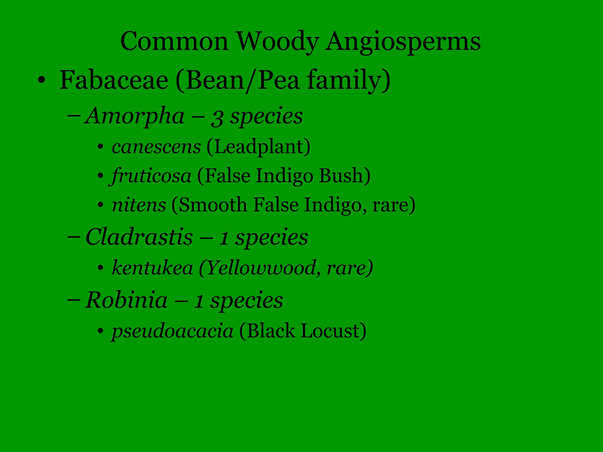 Illinois Gymnosperms
• Cypressaceae – Cypress family
– Juniperus – 3 species
• communis (Ground Juniper, rare)
• horizontalis (Trailing Juniper, rare)
• virginiana (Eastern Red Cedar)
– Thuja – 1 species
• occidentalis (White Cedar, rare)
 