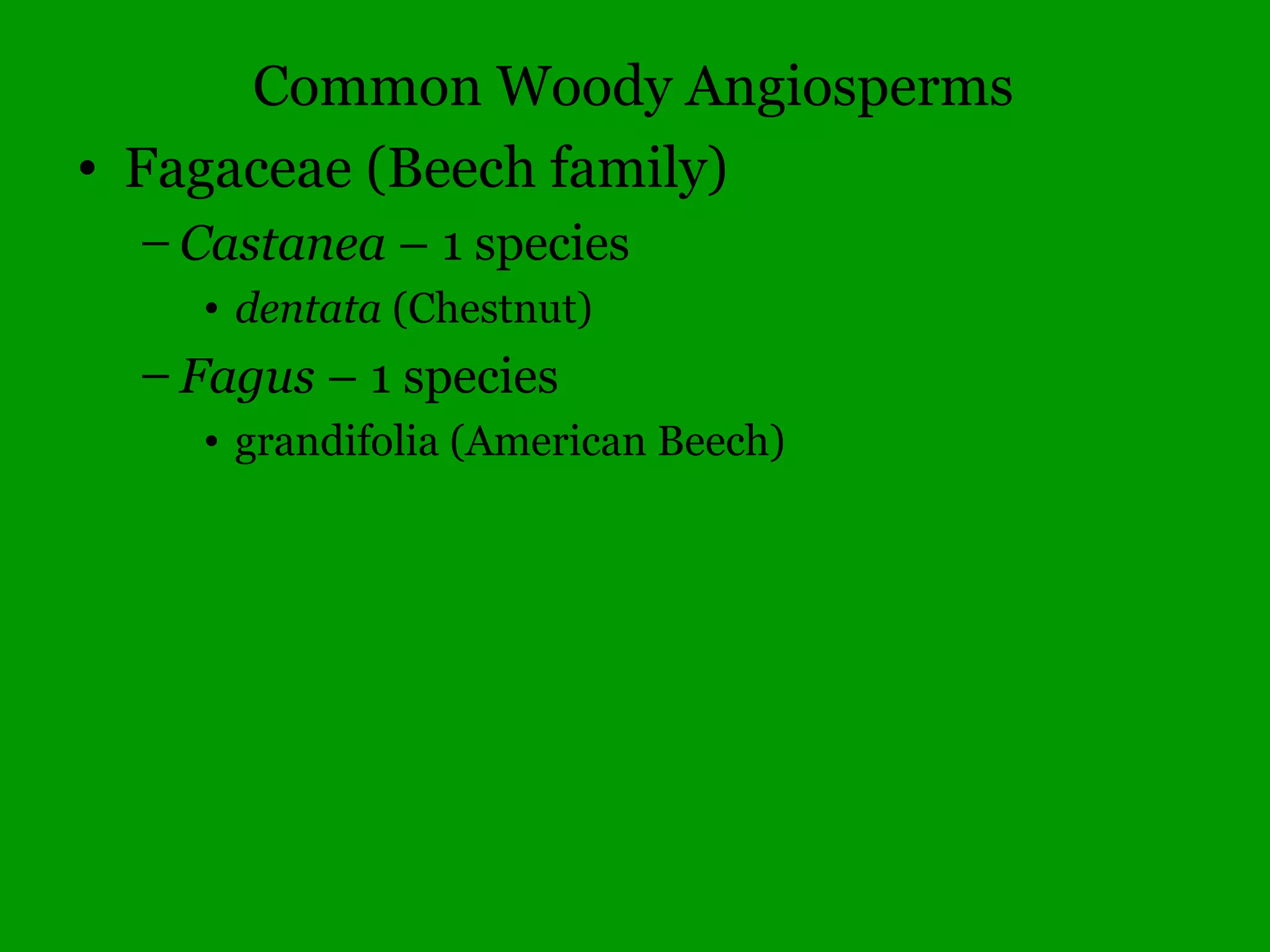 Illinois Gymnosperms
• Ginkgoaceae – Ginkgo family
– Ginkgo – 1 species
• biloba (Ginkgo)
 