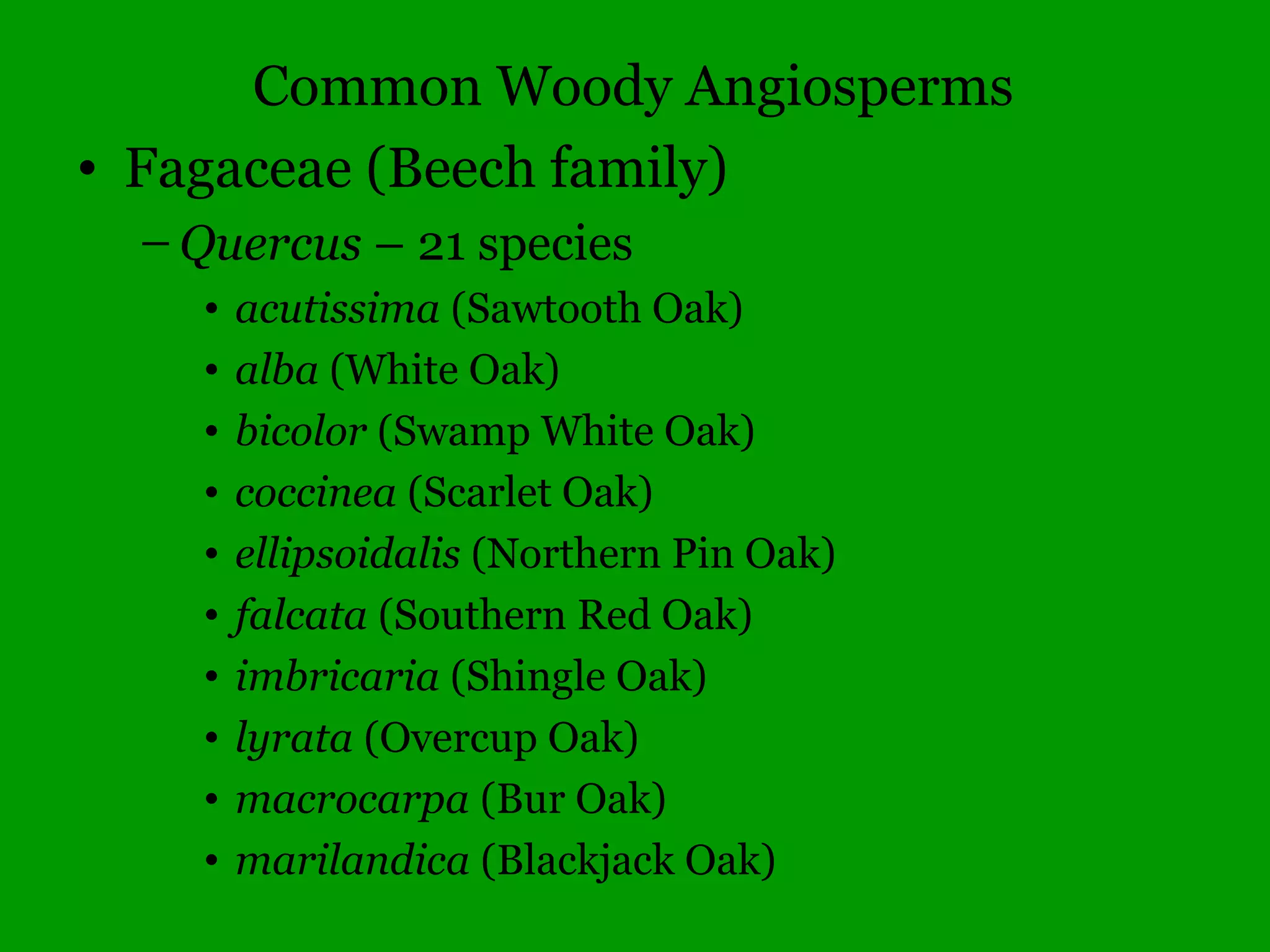 Illinois Gymnosperms
• Pinaceae – Pine family
– Larix – 2 species
• decidua* (European Larch)
• laricina (Tamarack, rare)
– Picea – 2 species
• abies* (Norway Spruce)
• mariana* (Black Spruce)
 