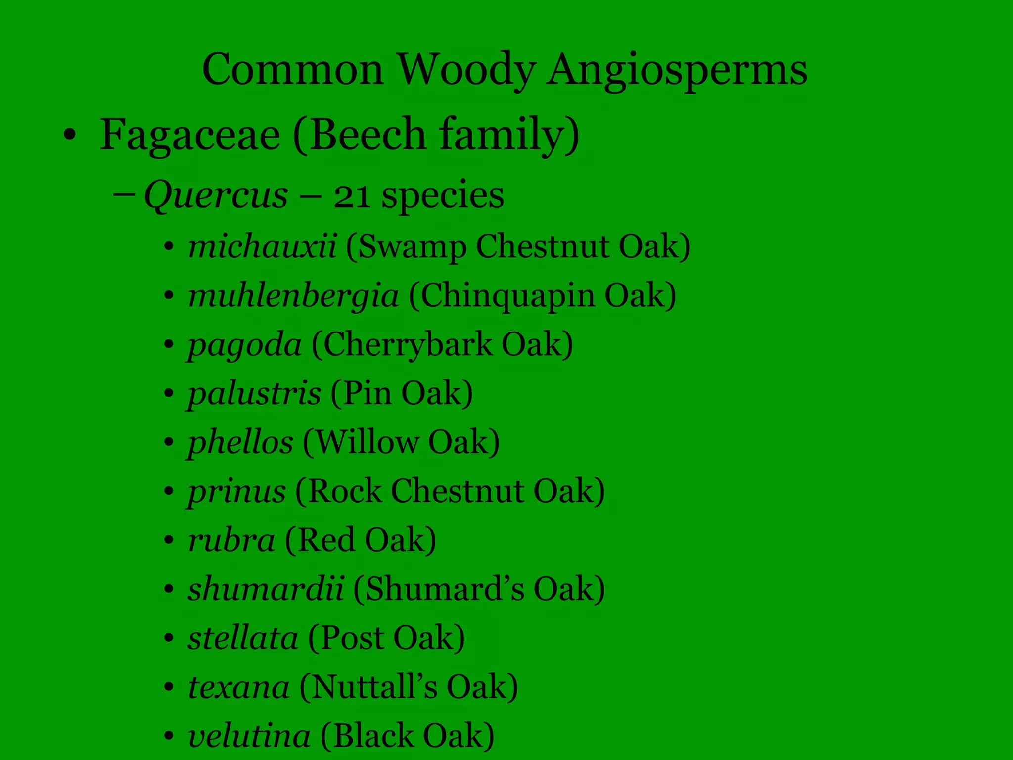 Illinois Gymnosperms
• Pinaceae – Pine family
– Pinus – 10 species
• banksiana (Jack Pine)
• echinata (Short-leaf Pine, rare)
• nigra* (Austrian Pine)
• resinosa (Red Pine, rare)
• rigida* (Pitch Pine)
• strobus (White Pine)
• sylvestris* (Scots Pine)
• taeda (Loblolly Pine)
• 2 others
 