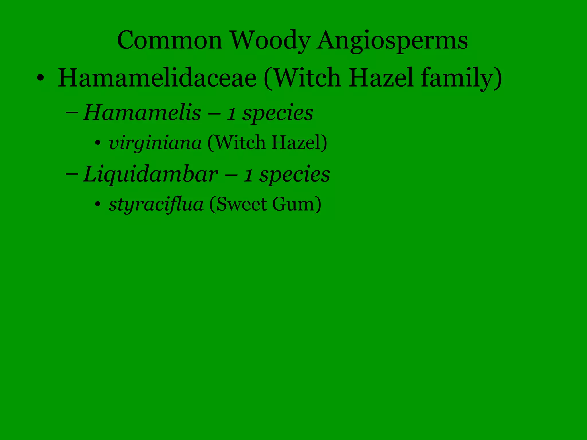 Common Woody Angiosperms
• Betulaceae (Birch family)
– Betula – 8 species
• alleghaniensis (Yellow Birch, rare)
• nigra (River Birch)
• papyrifera (Paper Birch, rare)
• pumila (Dwarf Birch, rare)
• 2 other species and 2 hybrids, (rare)
 