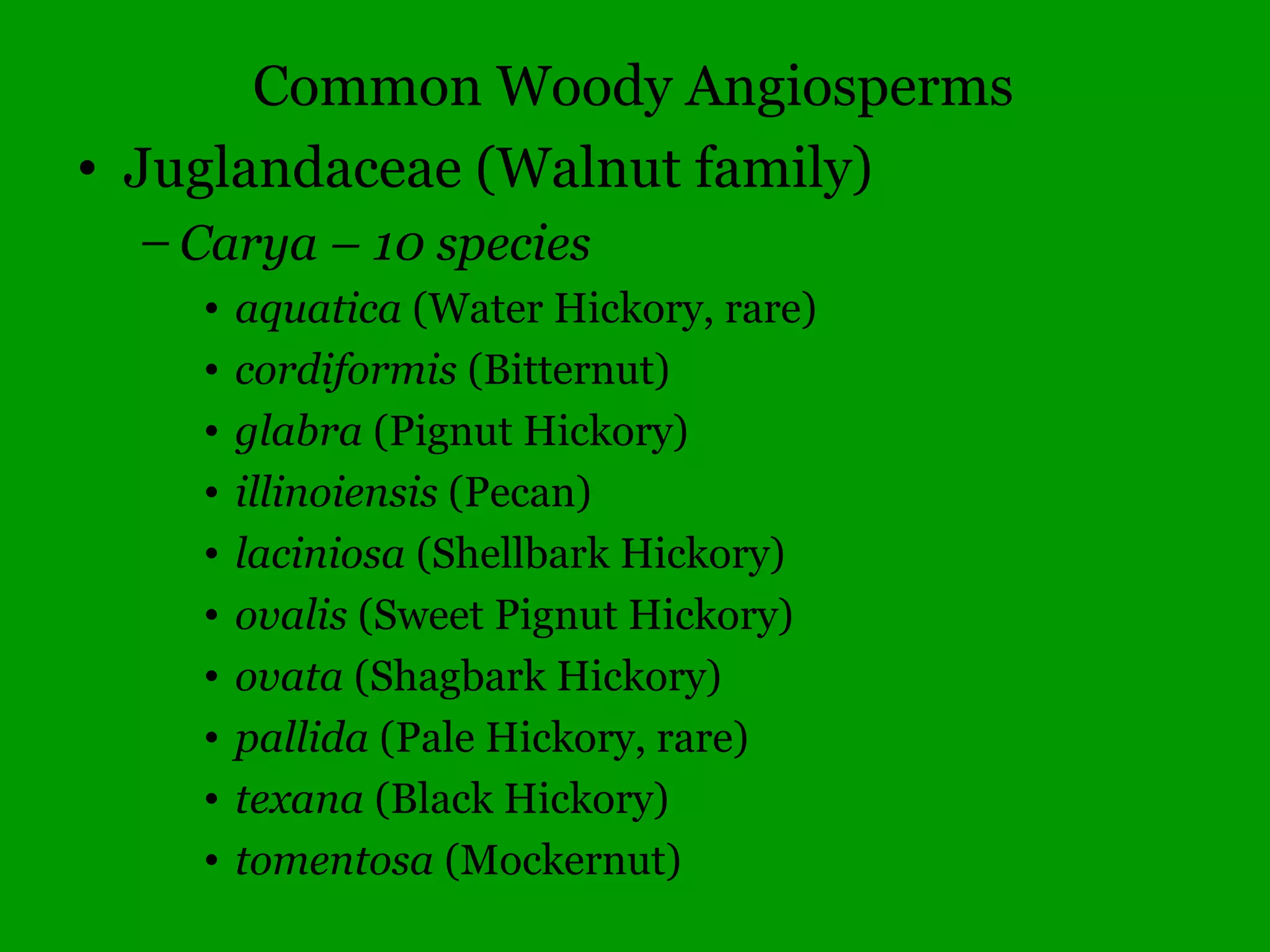 Common Woody Angiosperms
• Caprifoliaceae
– Viburnum – 13 species
• acerifolium (Maple-leaved Arrowwood)
• dentatum* (Arrowwood)
• lentago (Nannyberry)
• prunifolium (Black Haw)
• rafinesquianum (Downy Arrowwood)
• recognitum (Smooth Arrowwood)
• rufidulum (Rusty Black Haw)
• trilobum (High-bush Cranberry, rare)
 