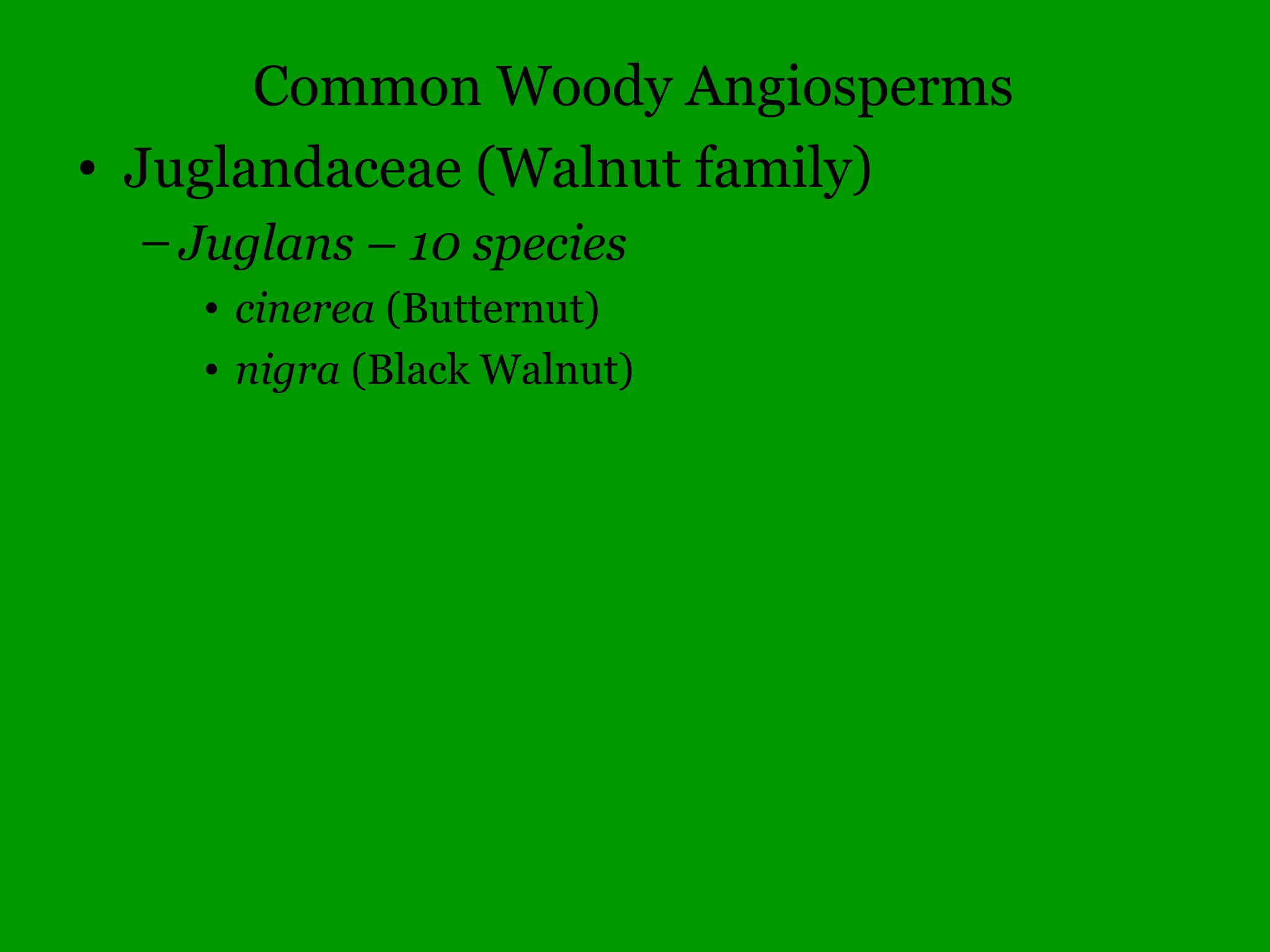 Caprifoliaceae (Honeysuckle family)
 