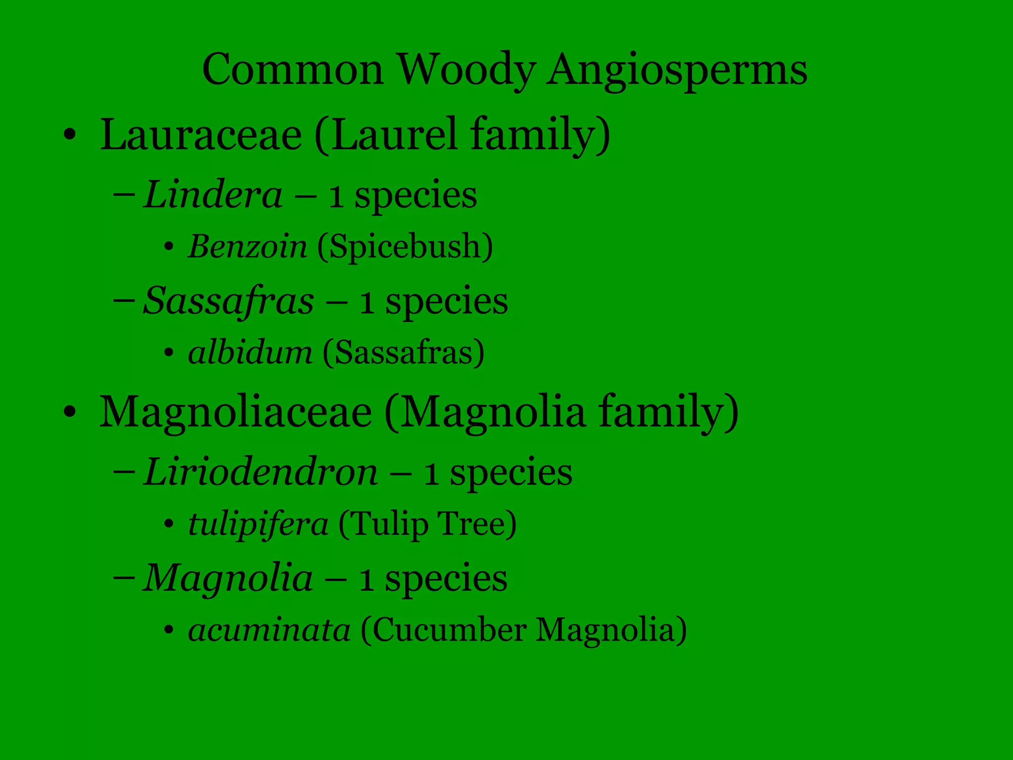 Common Woody Angiosperms
• Corylaceae (Hazelnut family)
– Carpinus – 1 species
• caroliniana (Musclewood, Blue Beech)
– Corylus – 1 species
• americana (Hazelnut)
– Ostrya – 1 species
• virginiana (Ironwood, Eastern Hop Hornbeam)
 
