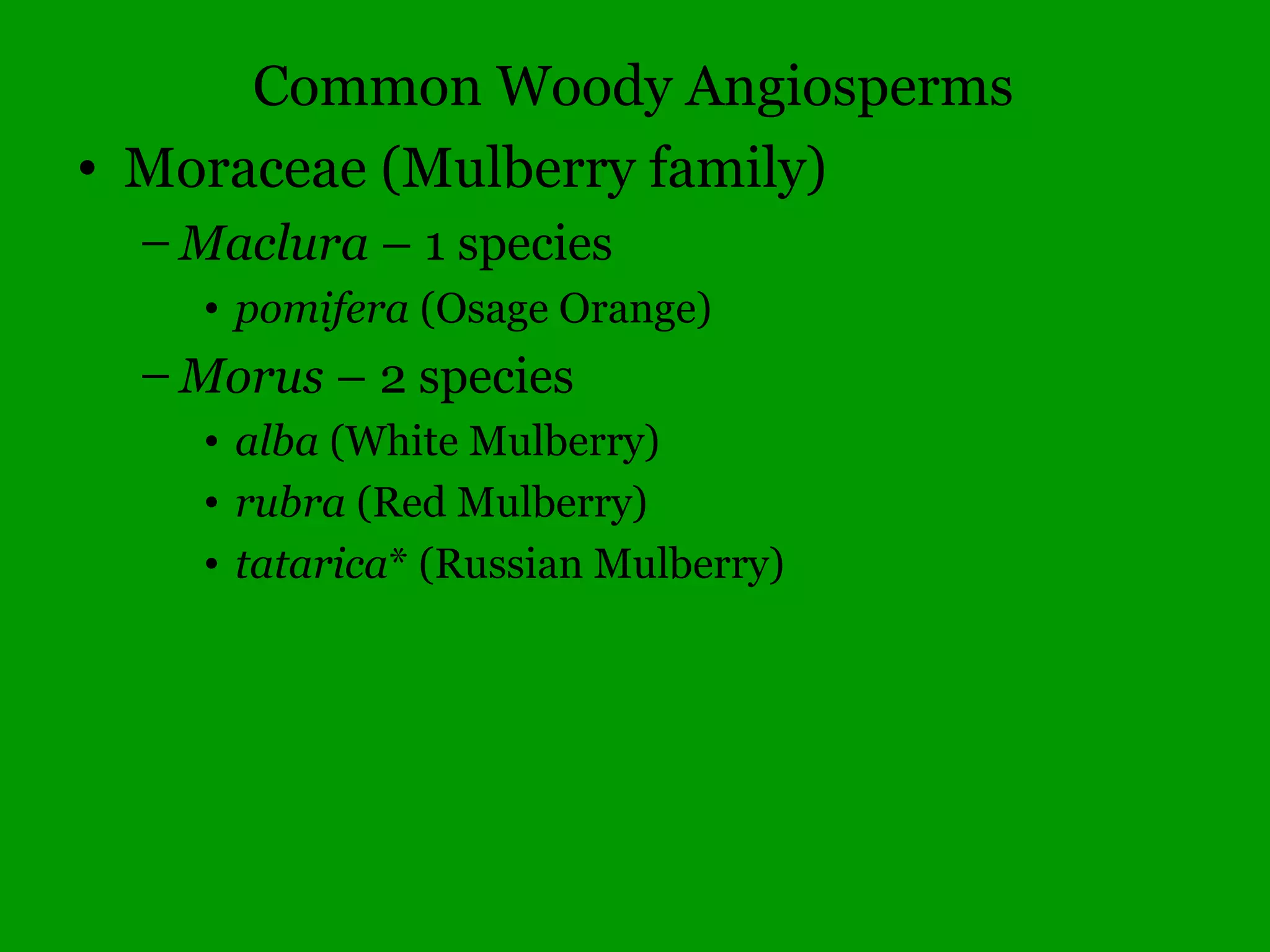 Common Woody Angiosperms
• Cornaceae (Dogwood family)
– Cornus – 12 species
• alternifolia (Alternate-leaved Dogwood)
• amomum (Swamp Dogwood)
• canadensis (Bunchberry, rare)
• drummondii (Rough-leaved Dogwood)
• florida (Flowering Dogwood)
• foemina (Stiff Dogwood)
• obliqua (Silky Dogwood
• racemosa (Gray Dogwood)
• rugosa (Round-leaved Dogwood)
• sericea (Red-osier Dogwood)
• 2 non-native (alba and mas)
 