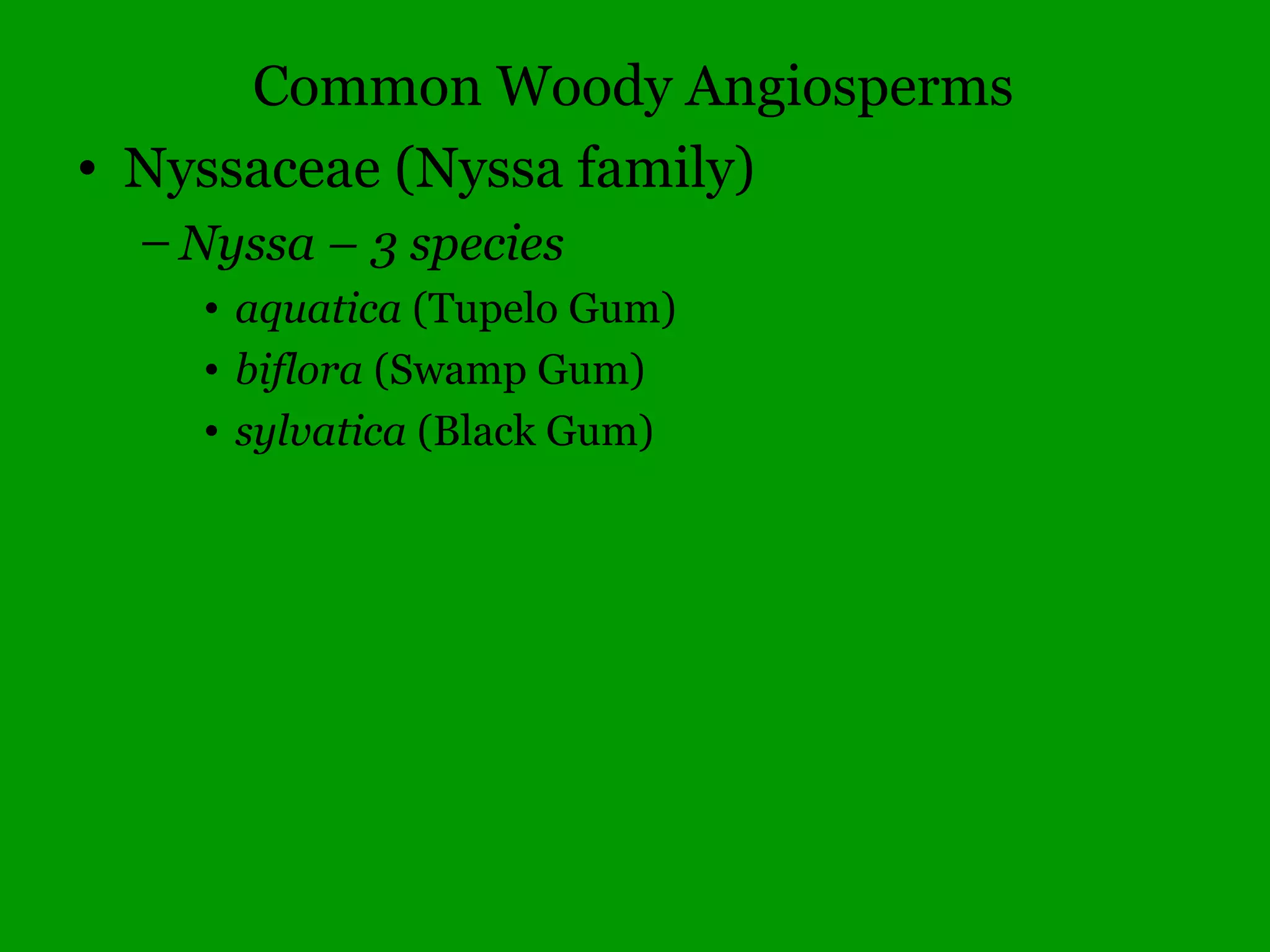 Flowering Dogwood – Cornus florida
 