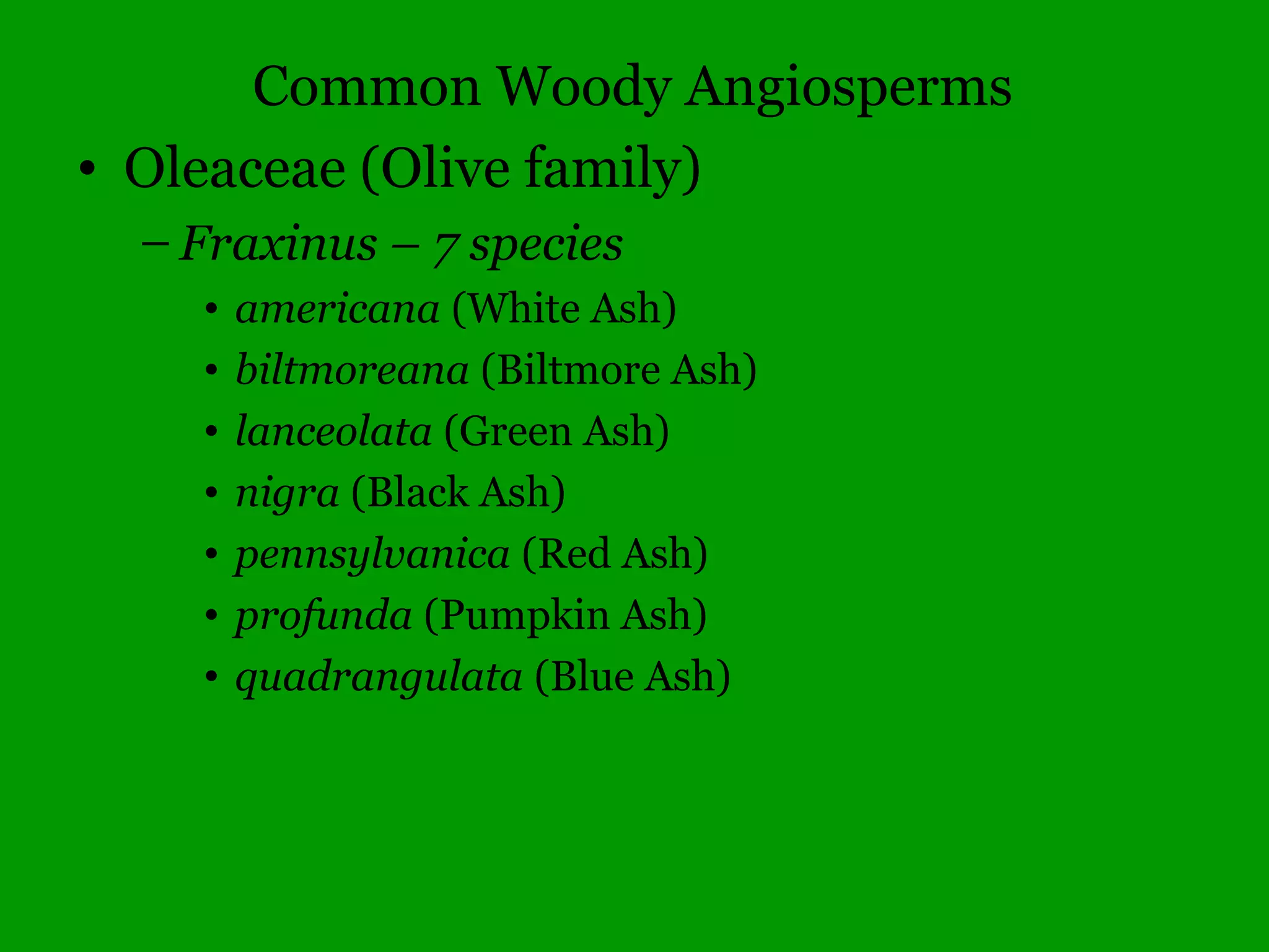 Common Woody Angiosperms
• Ericaceae (Heath family)
– Gaylussacia – 1 species
• baccata (Black Huckleberry)
– Rhododendron – 2 species
• prinophyllum – (Wild Azalea)
– Vaccinium – 8 species
• arboreum (Farkleberry)
• pallidum (Blueberry)
• stamenium (Deerberry)
 