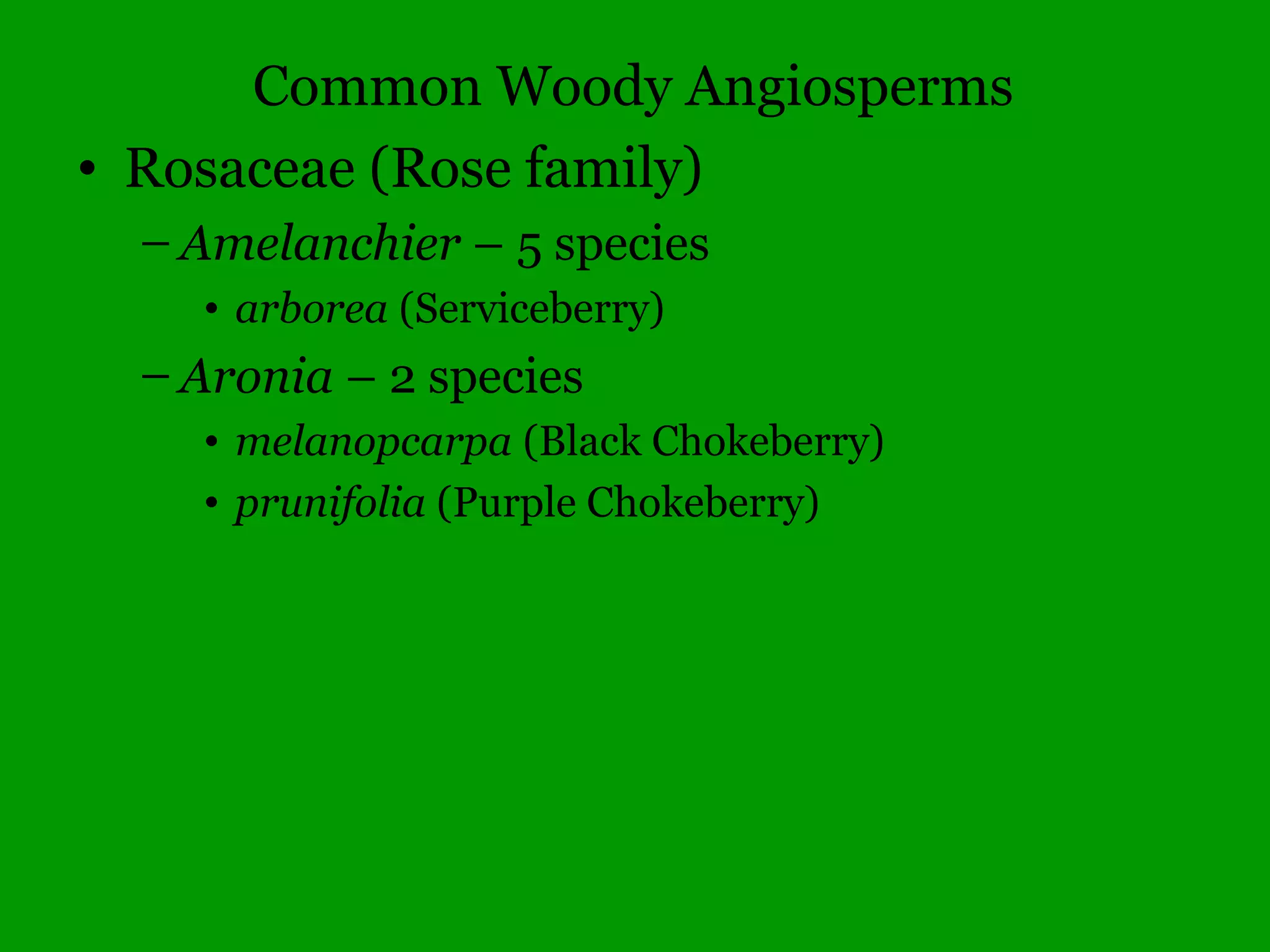 Common Woody Angiosperms
• Caesalpiniaceae (Caesalpinia family)
– Cercis – 1 species
• canadensis (Redbud)
– Gleditsia – 2 species
• aquatica – (Water Locust)
• triacanthos (Honey Locust)
– Gymnocladus – 1 species
• dioicus (Kentucky Coffee Tree)
 