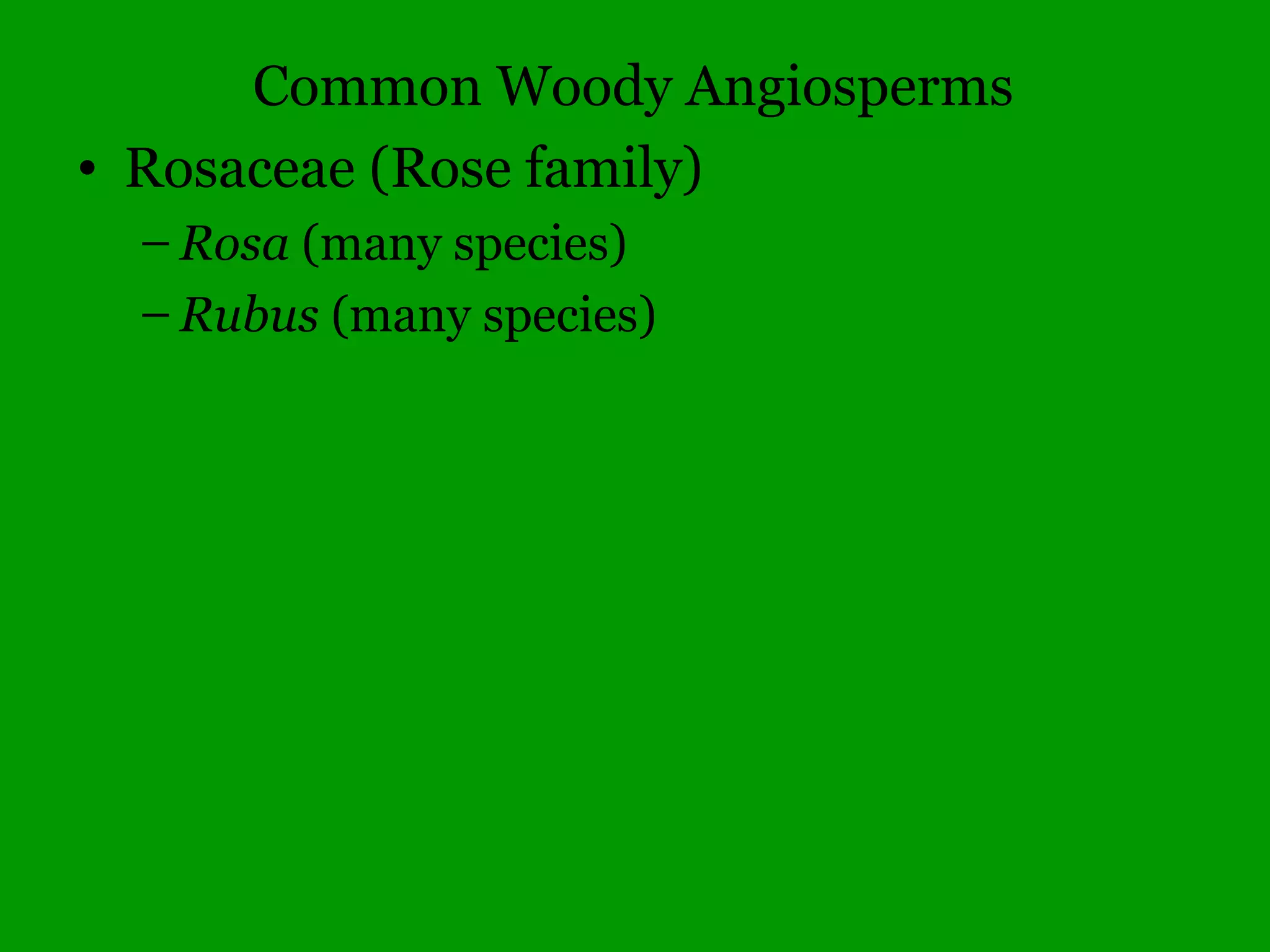 Common Woody Angiosperms
• Fagaceae (Beech family)
– Quercus – 21 species
• acutissima (Sawtooth Oak)
• alba (White Oak)
• bicolor (Swamp White Oak)
• coccinea (Scarlet Oak)
• ellipsoidalis (Northern Pin Oak)
• falcata (Southern Red Oak)
• imbricaria (Shingle Oak)
• lyrata (Overcup Oak)
• macrocarpa (Bur Oak)
• marilandica (Blackjack Oak)
 