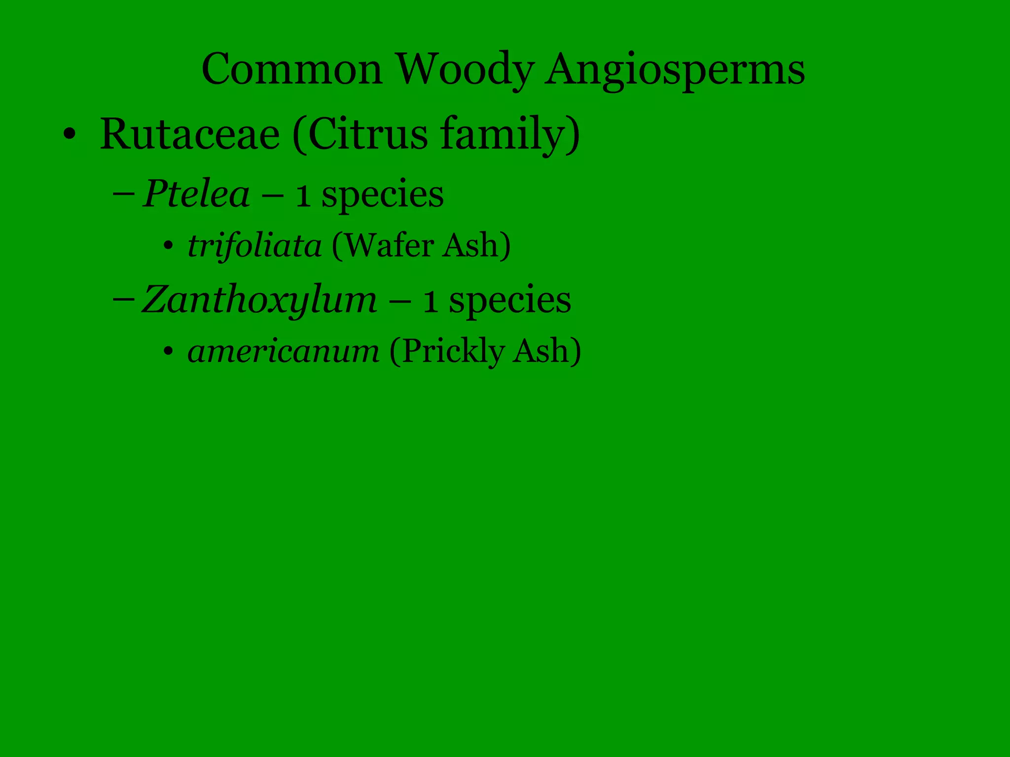 Common Woody Angiosperms
• Juglandaceae (Walnut family)
– Carya – 10 species
• aquatica (Water Hickory, rare)
• cordiformis (Bitternut)
• glabra (Pignut Hickory)
• illinoiensis (Pecan)
• laciniosa (Shellbark Hickory)
• ovalis (Sweet Pignut Hickory)
• ovata (Shagbark Hickory)
• pallida (Pale Hickory, rare)
• texana (Black Hickory)
• tomentosa (Mockernut)
 