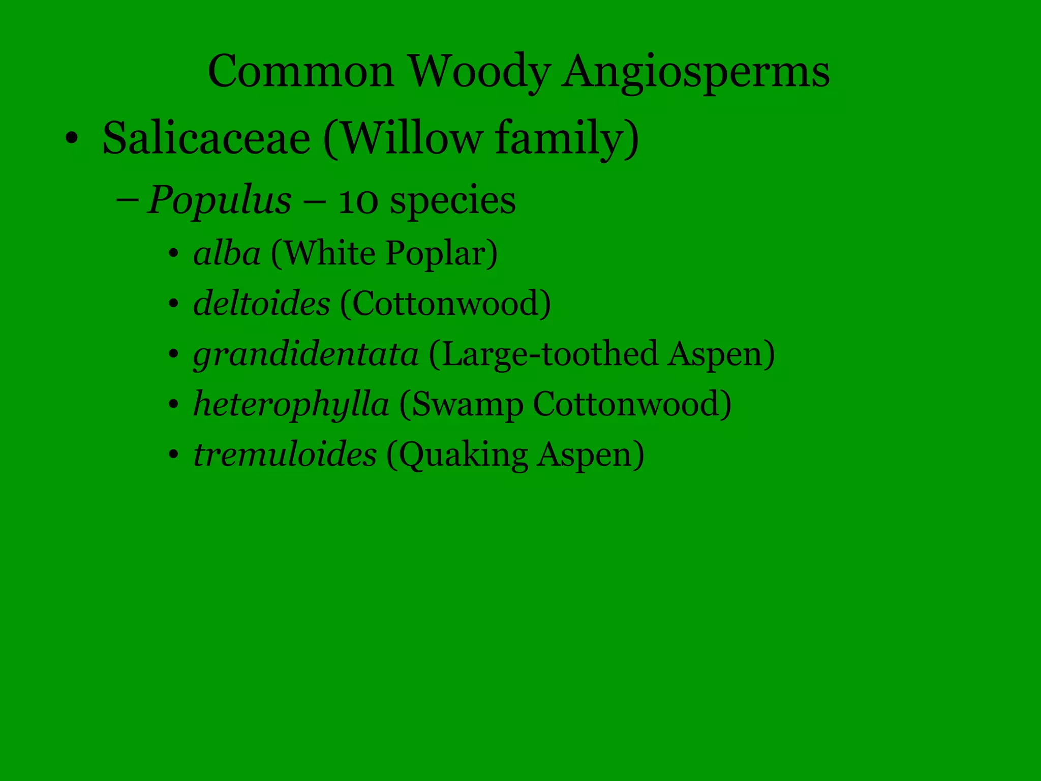 Common Woody Angiosperms
• Juglandaceae (Walnut family)
– Juglans – 10 species
• cinerea (Butternut)
• nigra (Black Walnut)
 