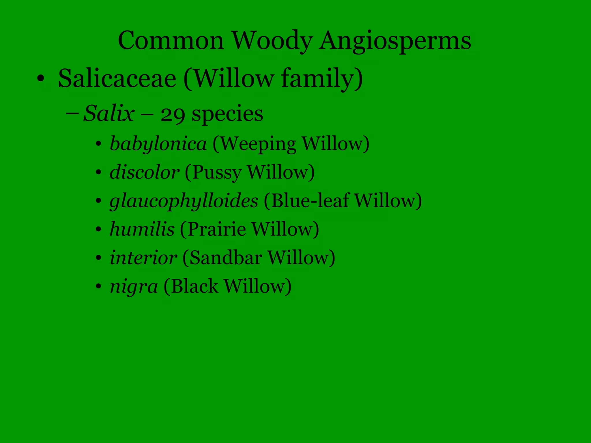 Common Woody Angiosperms
• Lauraceae (Laurel family)
– Lindera – 1 species
• Benzoin (Spicebush)
– Sassafras – 1 species
• albidum (Sassafras)
• Magnoliaceae (Magnolia family)
– Liriodendron – 1 species
• tulipifera (Tulip Tree)
– Magnolia – 1 species
• acuminata (Cucumber Magnolia)
 