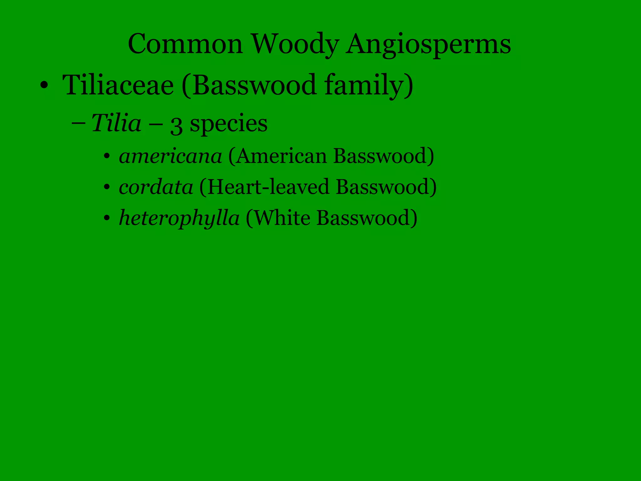 Common Woody Angiosperms
• Moraceae (Mulberry family)
– Maclura – 1 species
• pomifera (Osage Orange)
– Morus – 2 species
• alba (White Mulberry)
• rubra (Red Mulberry)
• tatarica* (Russian Mulberry)
 