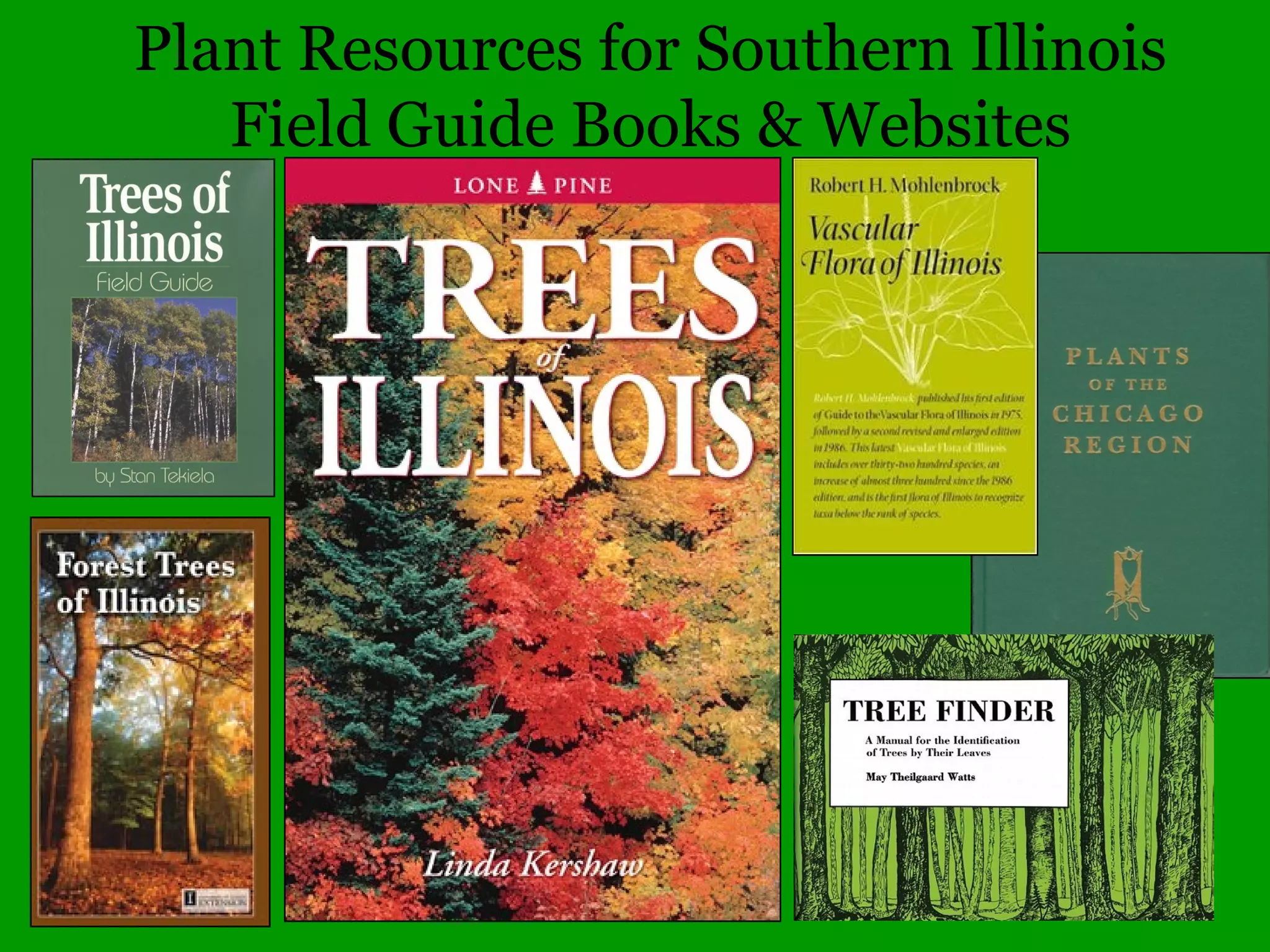 Simple leaf, magnolia
a. Simple versus compound leaves
Pinnately compound leaf,
black walnut
Palmately compound leaf,
buckeye
b. Arrangement of leaves on stem
Opposite leaves, maple
Whorled leaves,
bedstraw
Alternate leaves,
American beech
Leaf Characteristics
 